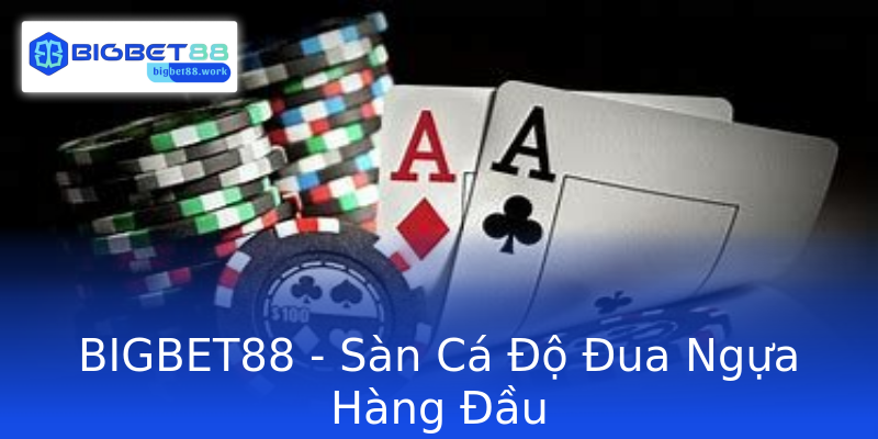 BIGBET88 - Sàn Cá Độ Đua Ngựa Hàng Đầu BIGBET88 - Sàn Cá Độ Đua Ngựa Hàng Đầu