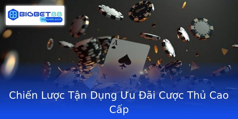 Chiến Lược Tận Dụng Ưu Đãi Cược Thủ Cao Cấp Chiến Lược Tận Dụng Ưu Đãi Cược Thủ Cao Cấp