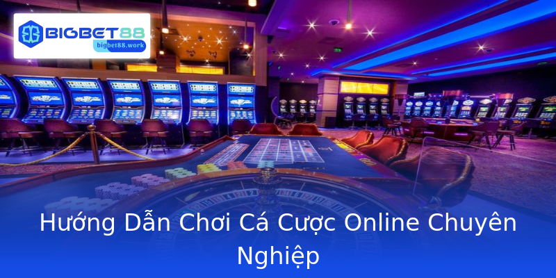 Hướng Dẫn Chơi Cá Cược Online Chuyên Nghiệp Hướng Dẫn Chơi Cá Cược Online Chuyên Nghiệp