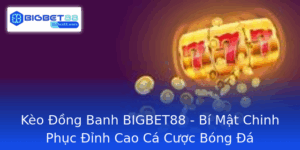 Keo Ong Banh Bigbet88 Bi Mat Chinh Phuc Inh Cao Ca Cuoc Bong A