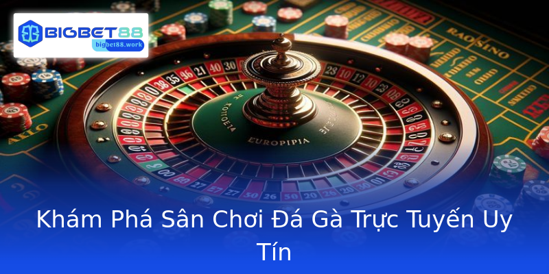 Khám Phá Sân Chơi Đá Gà Trực Tuyến Uy Tín Khám Phá Sân Chơi Đá Gà Trực Tuyến Uy Tín