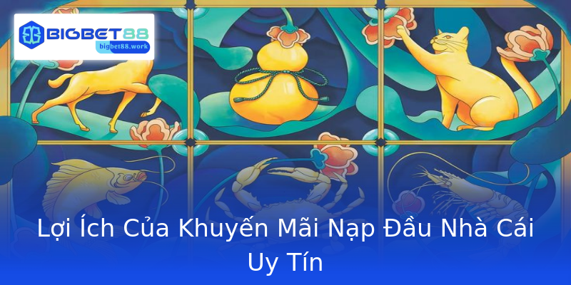 Lợi Ích Của Khuyến Mãi Nạp Đầu Nhà Cái Uy Tín Lợi Ích Của Khuyến Mãi Nạp Đầu Nhà Cái Uy Tín