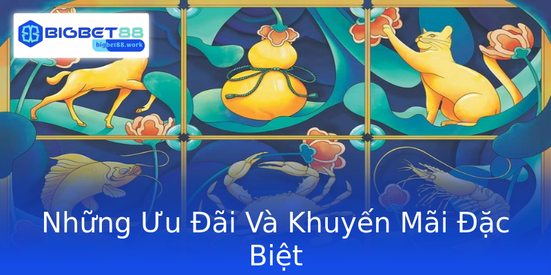 Những Ưu Đãi Và Khuyến Mãi Đặc Biệt Những Ưu Đãi Và Khuyến Mãi Đặc Biệt