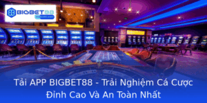Tai App Bigbet88 Trai Nghiem Ca Cuoc Inh Cao Va An Toan Nhat