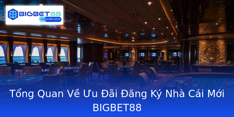 Tổng Quan Về Ưu Đãi Đăng Ký Nhà Cái Mới BIGBET88 Tổng Quan Về Ưu Đãi Đăng Ký Nhà Cái Mới BIGBET88