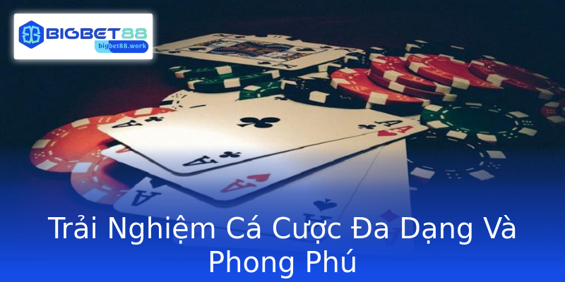 Trải Nghiệm Cá Cược Đa Dạng Và Phong Phú Trải Nghiệm Cá Cược Đa Dạng Và Phong Phú