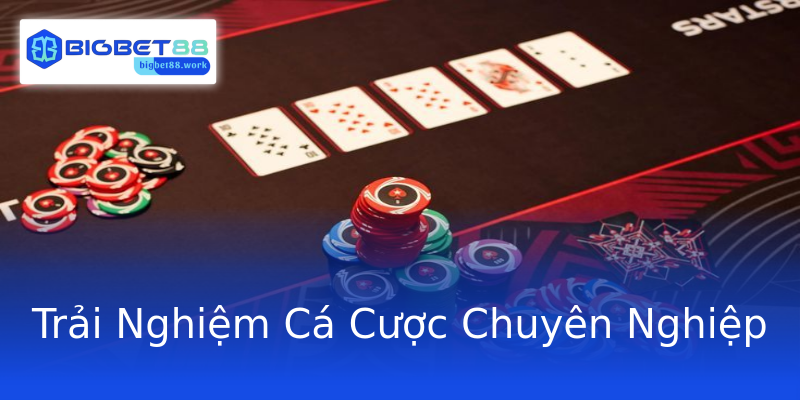 Trải Nghiệm Cá Cược Chuyên Nghiệp Trải Nghiệm Cá Cược Chuyên Nghiệp