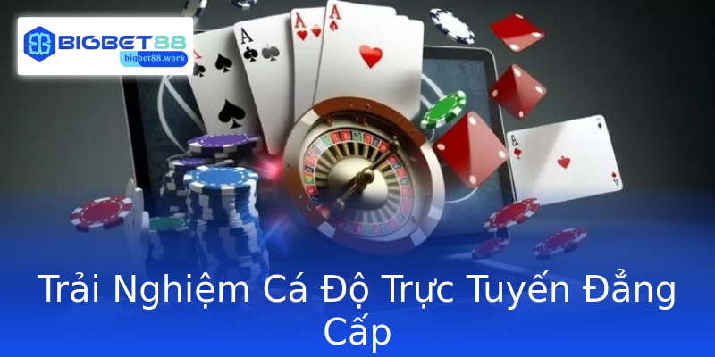 Trải Nghiệm Cá Độ Trực Tuyến Đẳng Cấp Trải Nghiệm Cá Độ Trực Tuyến Đẳng Cấp