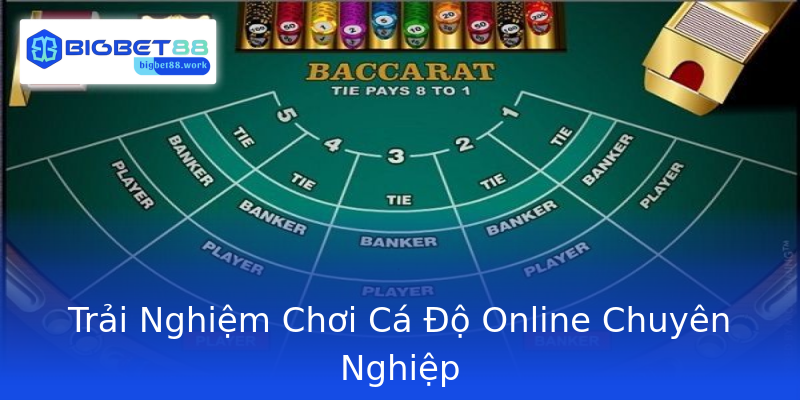 Trải Nghiệm Chơi Cá Độ Online Chuyên Nghiệp Trải Nghiệm Chơi Cá Độ Online Chuyên Nghiệp