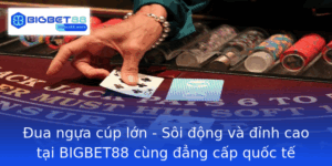 Ua Ngua Cup Lon Soi Ong Va Inh Cao Tai Bigbet88 Cung Ang Cap Quoc Te