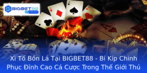 Xi To Bon La Tai Bigbet88 Bi Kip Chinh Phuc Inh Cao Ca Cuoc Trong The Gioi Thu Vi