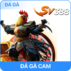 BIGBET88 Chính Thức - Nhà Cái Cá Cược Uy Tín | Link Tải App 9 Sv3003